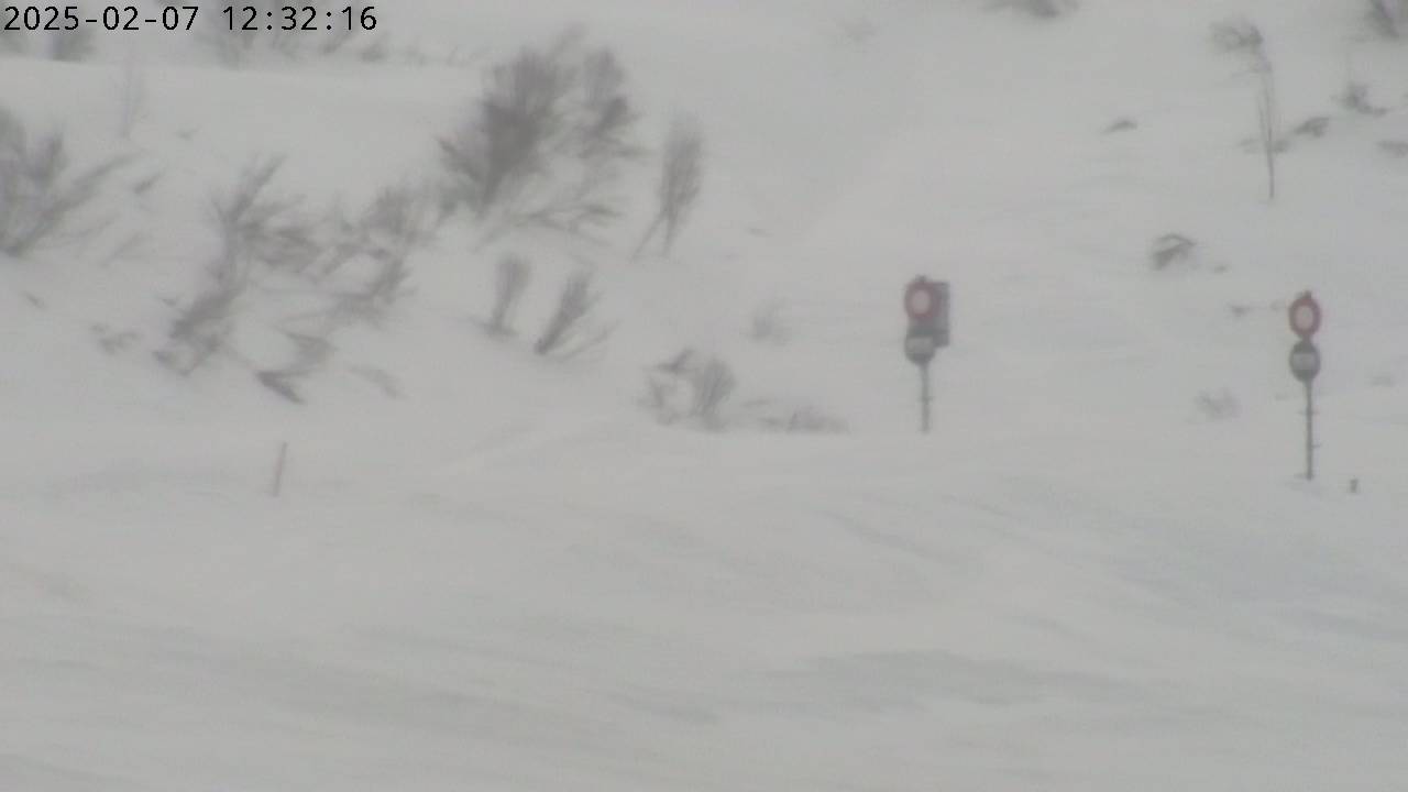 07.02.2025 12:32