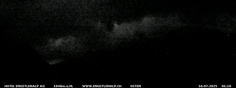 8h ago - 01:11