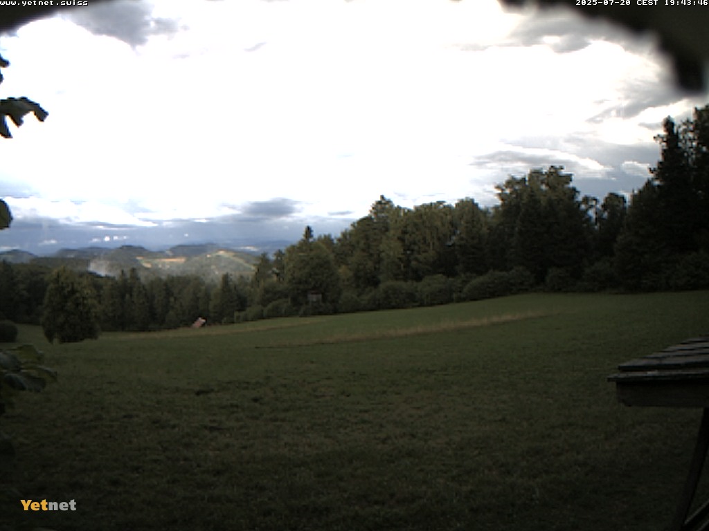 13h ago - 19:43