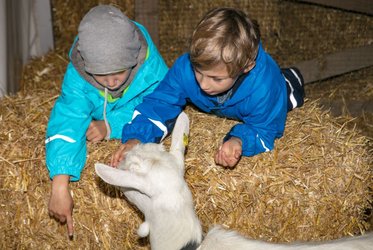 cheese-festival - Käsefest Appenzell