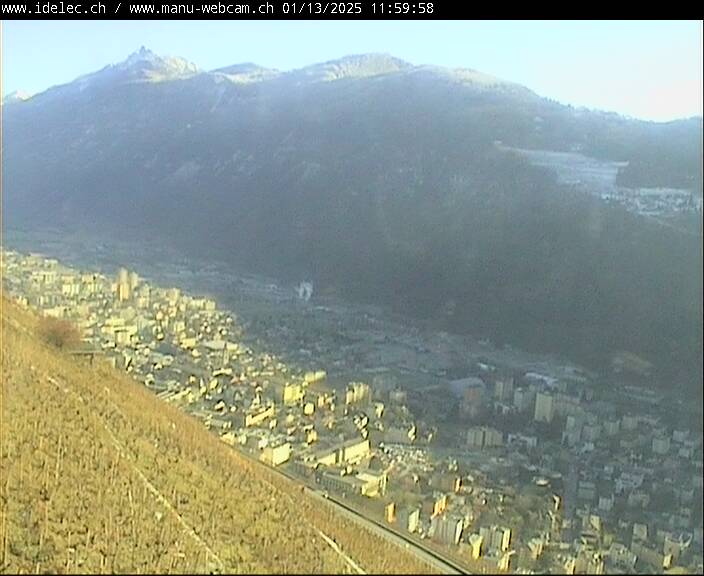 13.01.2025 12:00