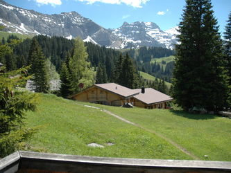Foto 19
