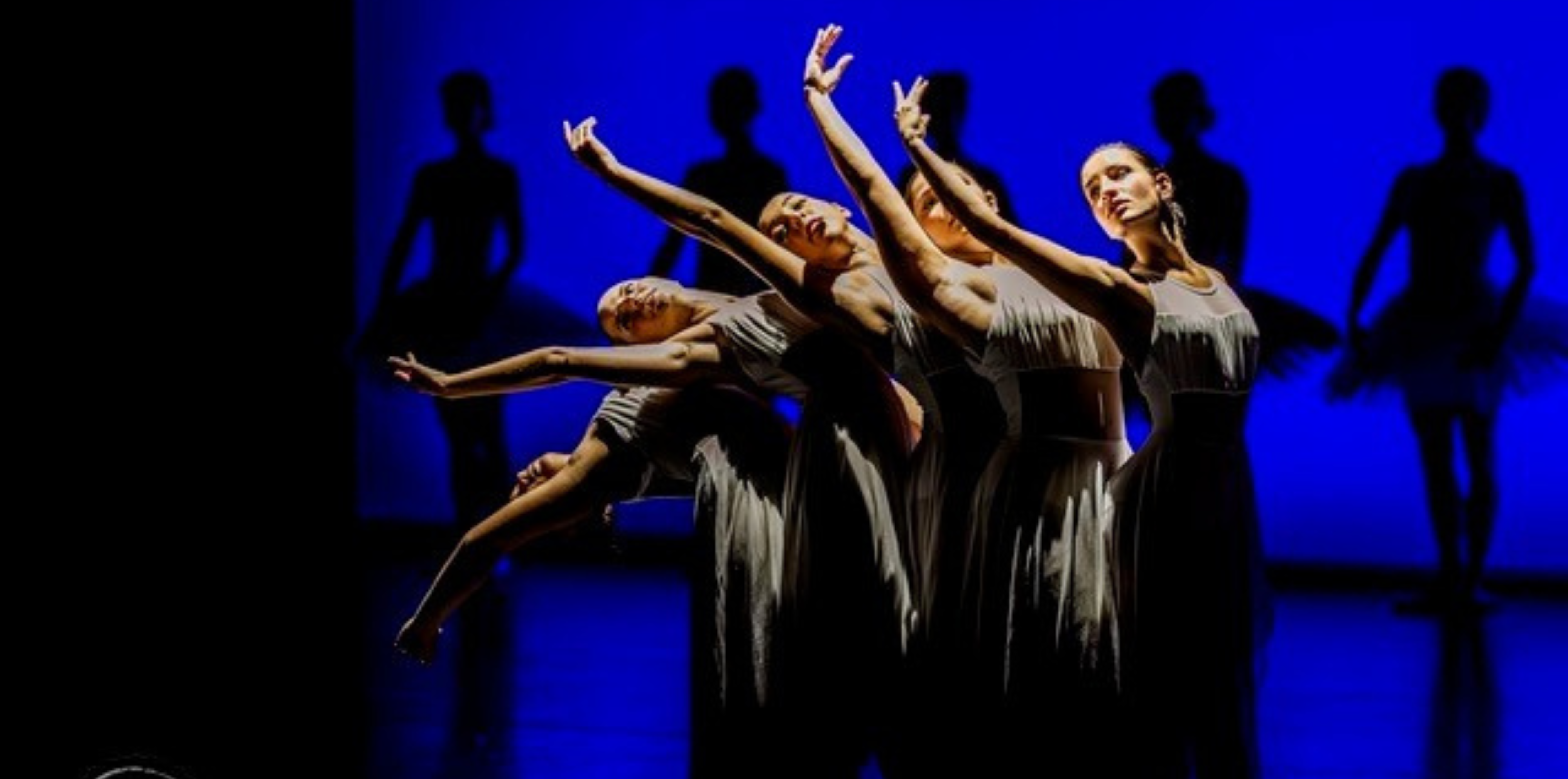 Titelbild des Events: NatMove – when day meets night