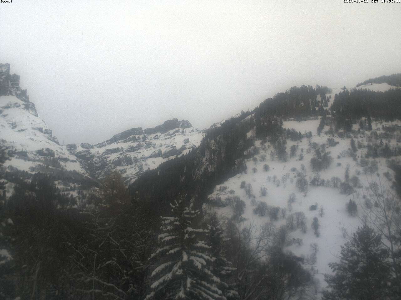 23.11.2024 12:01