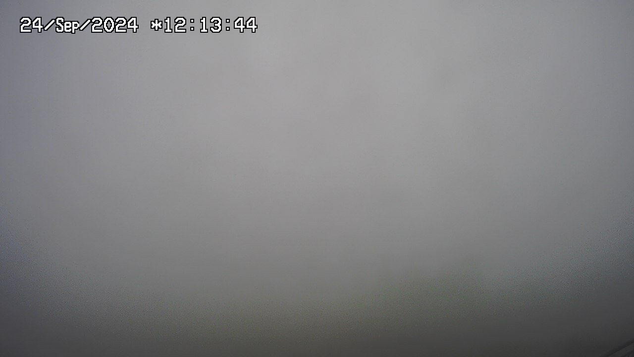 24.09.2024 12:01