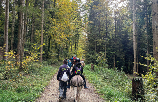 Titelbild des Events: Tierischer Waldspaziergang