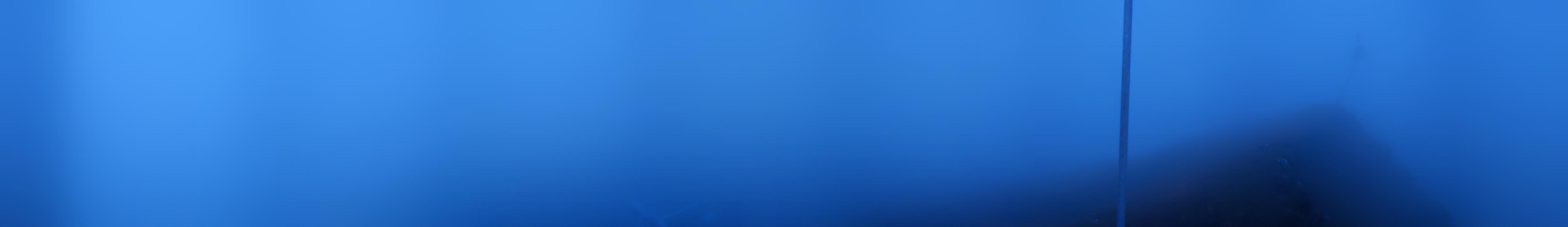 47h ago - 20:46