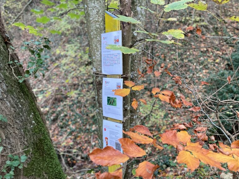 Chasse au trésor &amp; fondue au choc - Estavayer-le-Lac - Guidle