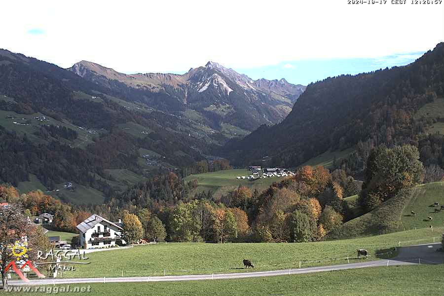 17.10.2024 12:26