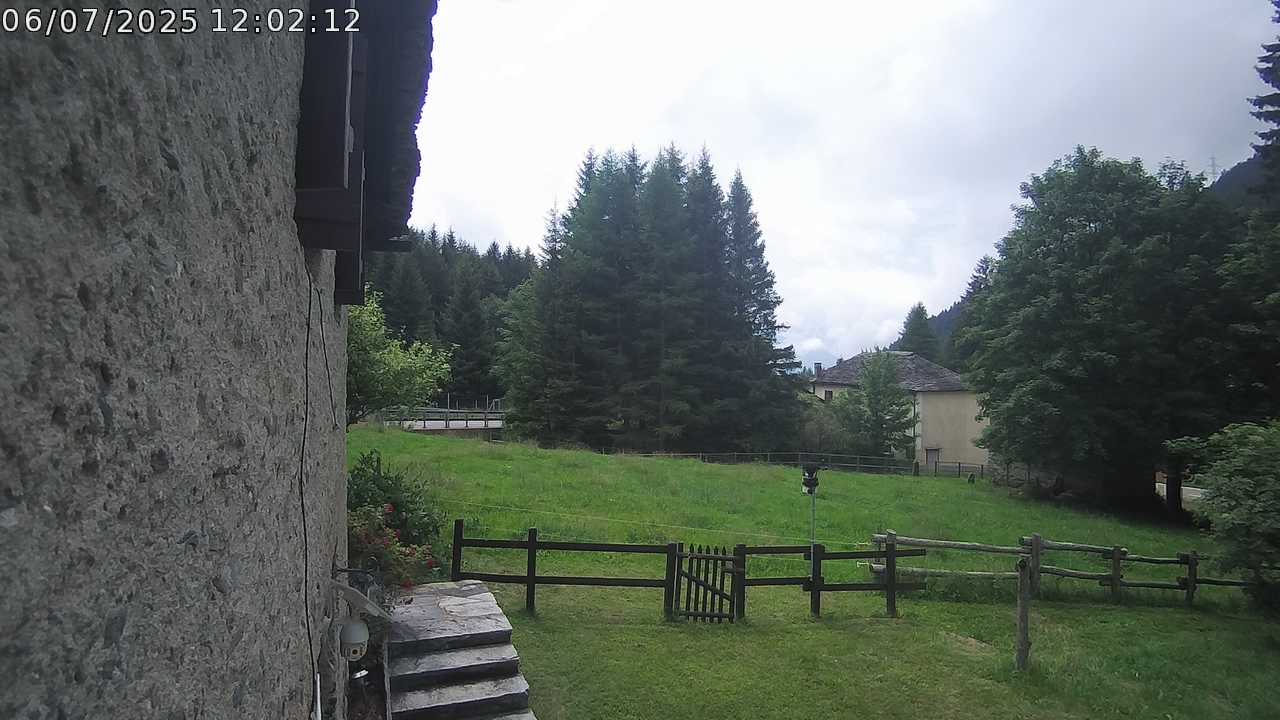 06.07.2025 12:02
