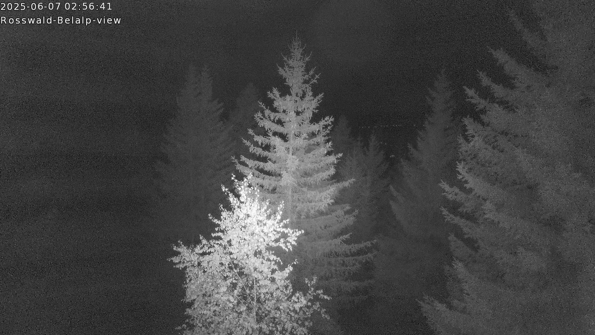 28h ago - 03:01