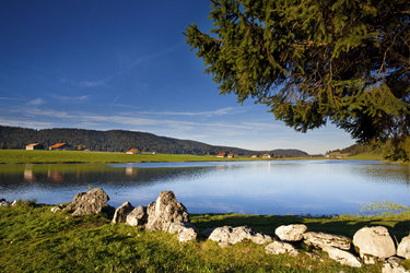 Lac des Taillères, Vallée de La Brévine (Vincent Bourrut)