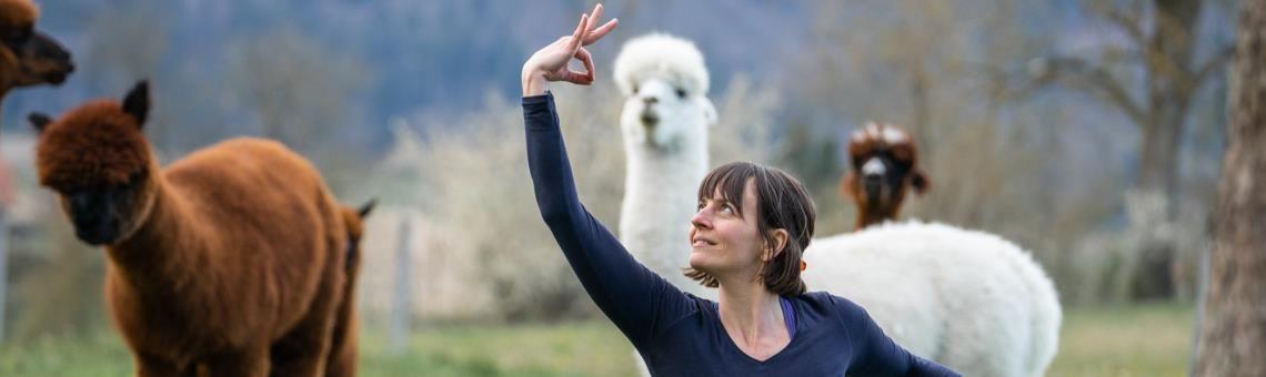 Titelbild des Events: Yoga inmitten Alpakas-Bergdietikon bei Zürich