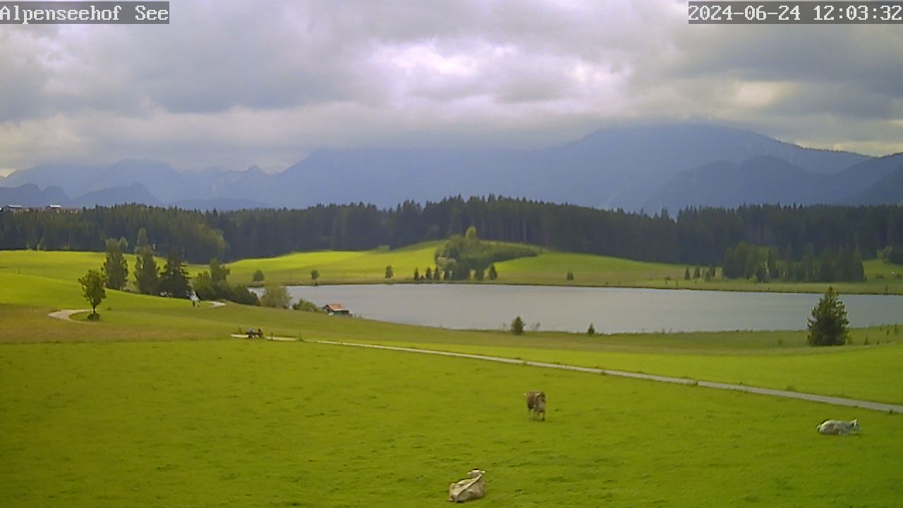 24.06.2024 12:03