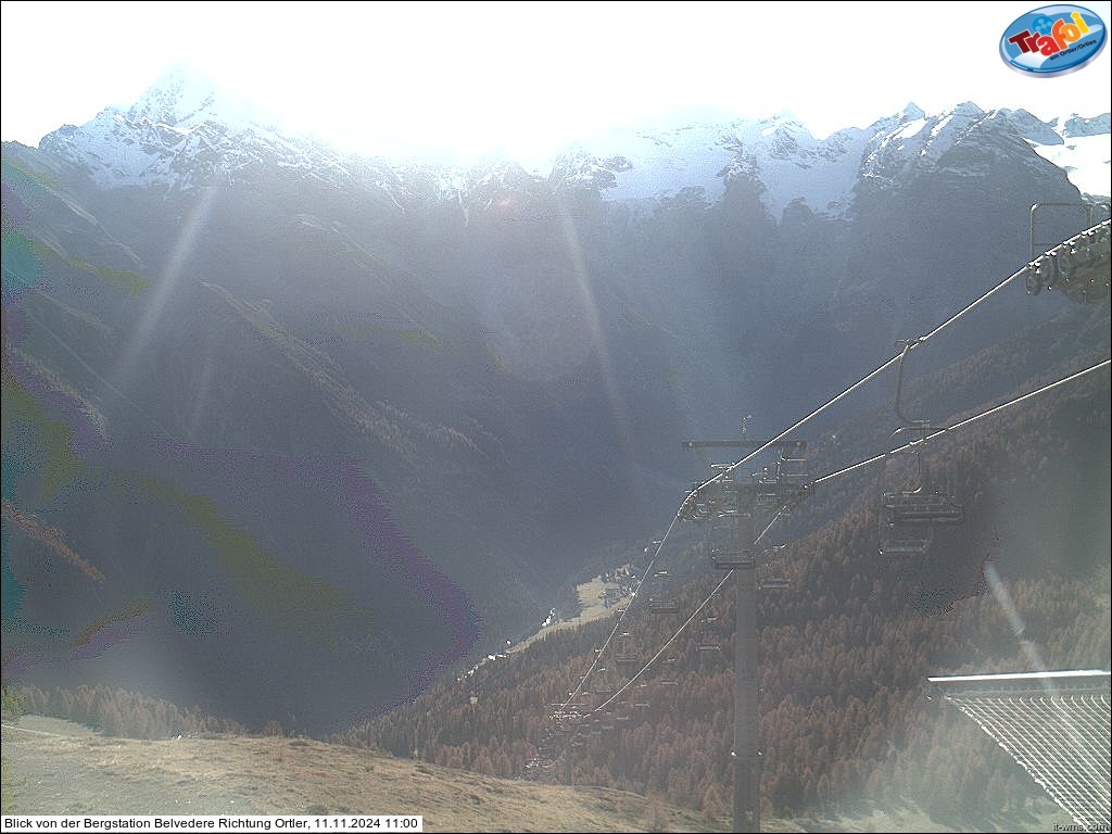 11.11.2024 11:00