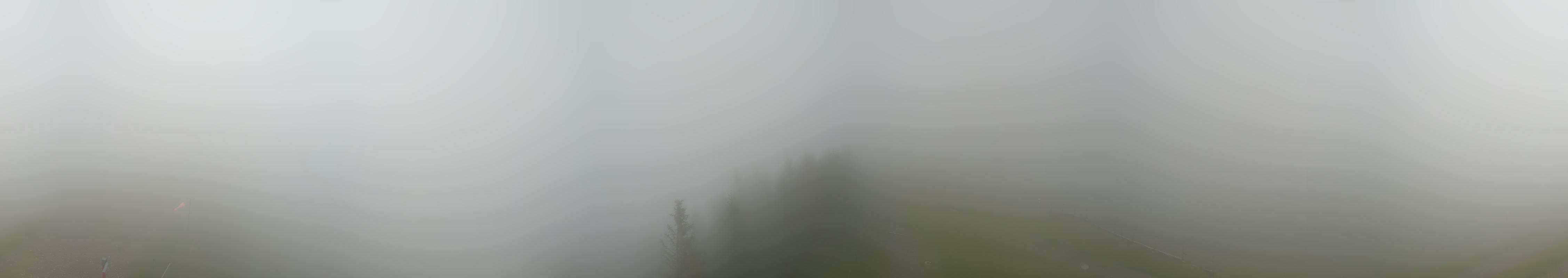 20h ago - 17:32