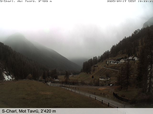 17.04.2025 12:02