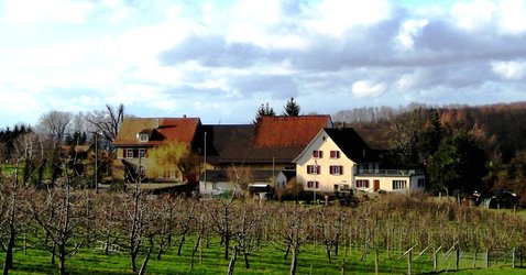 Hofladen Hofladen Schönmatt - 1