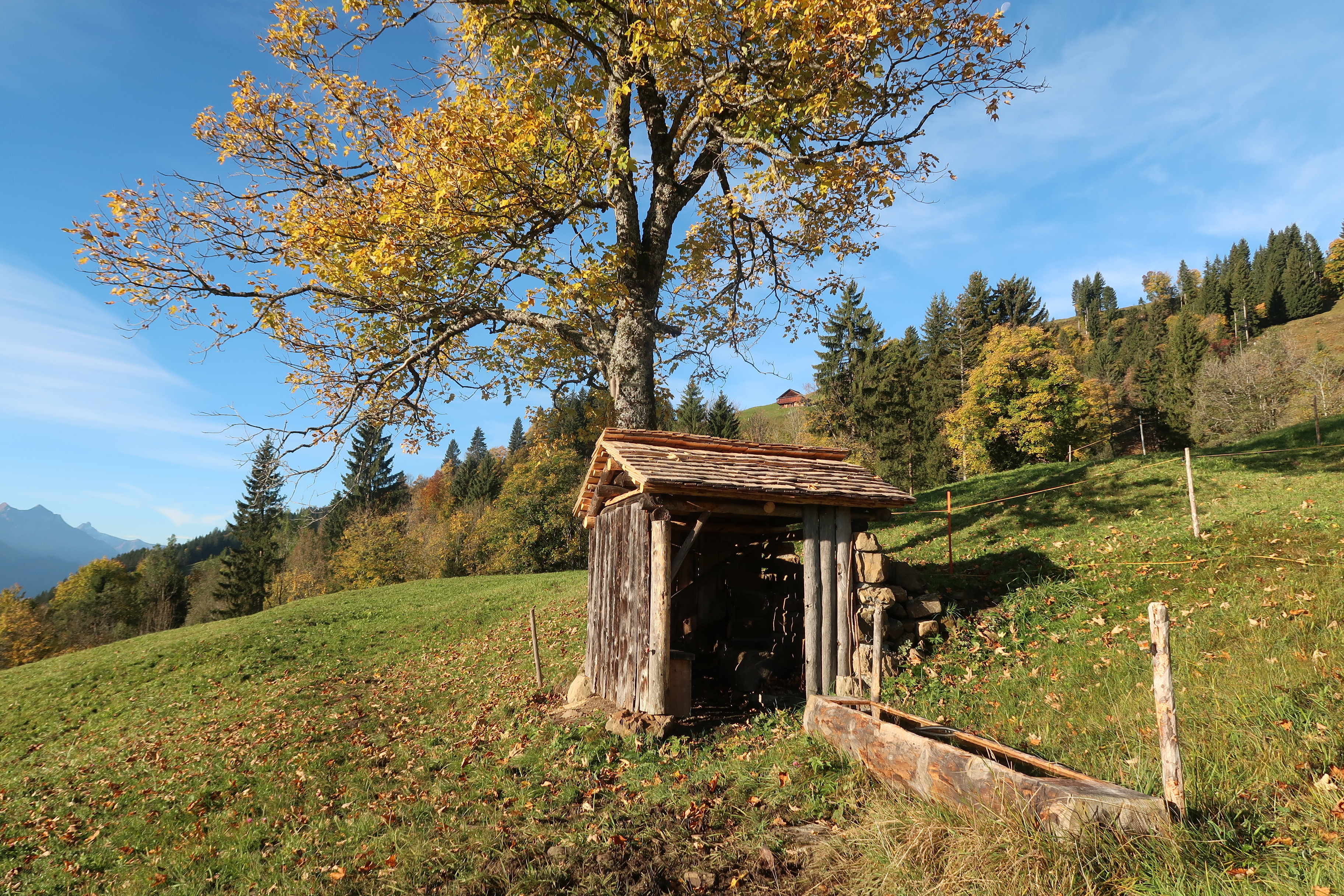 Foto: Andreas Zurbuchen