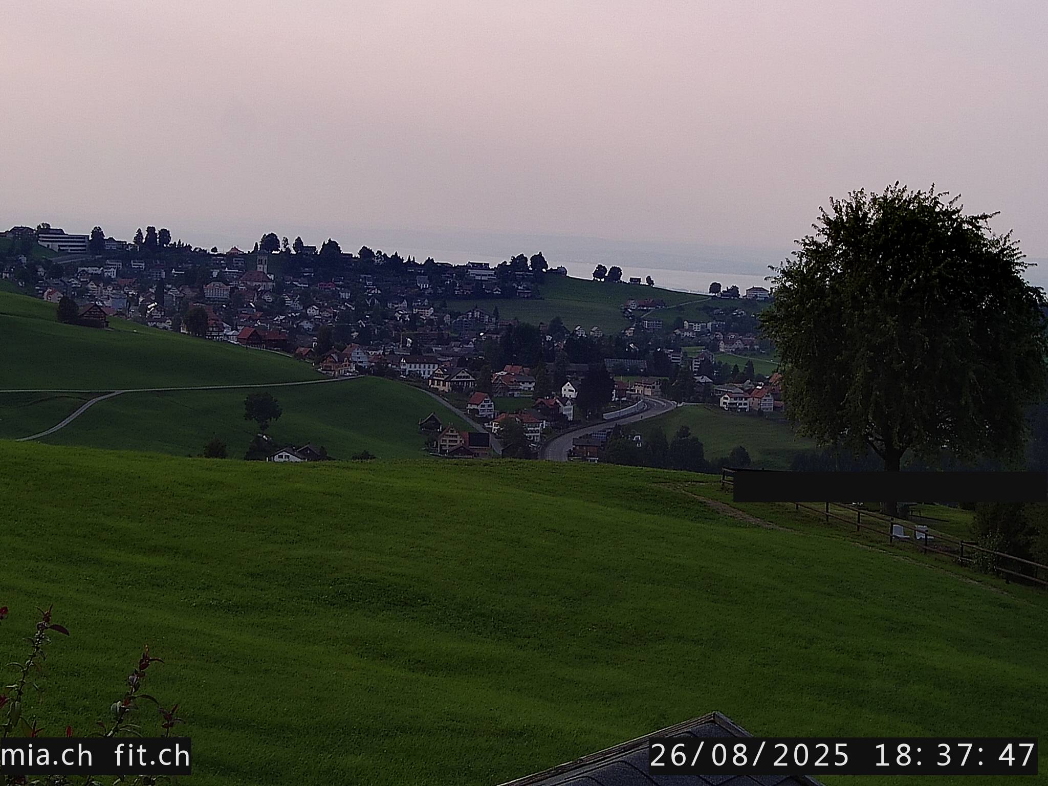 8h ago - 18:37