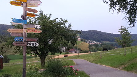 Puurehof im Rüedi: Stallvisite - 1