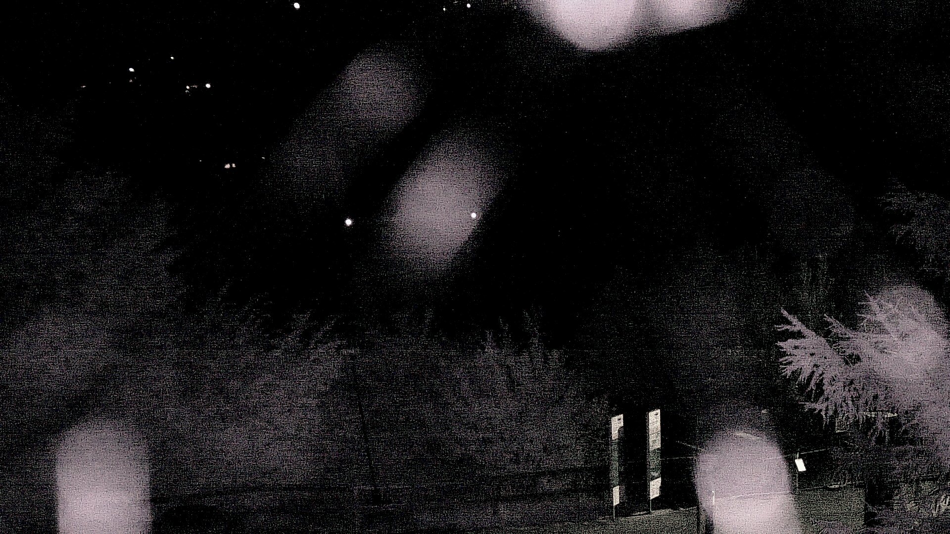 29h ago - 02:12