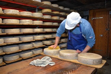 Tessiner Alpkäse