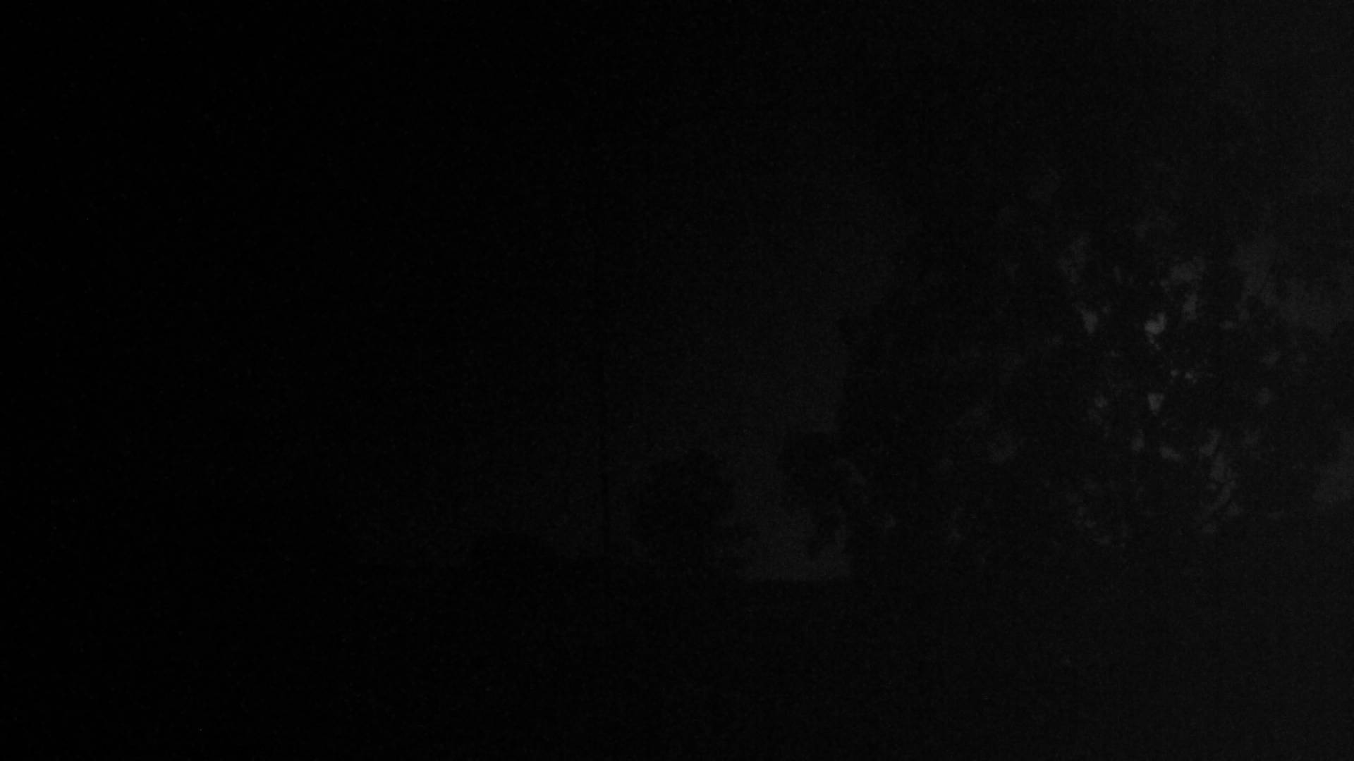3h ago - 03:30