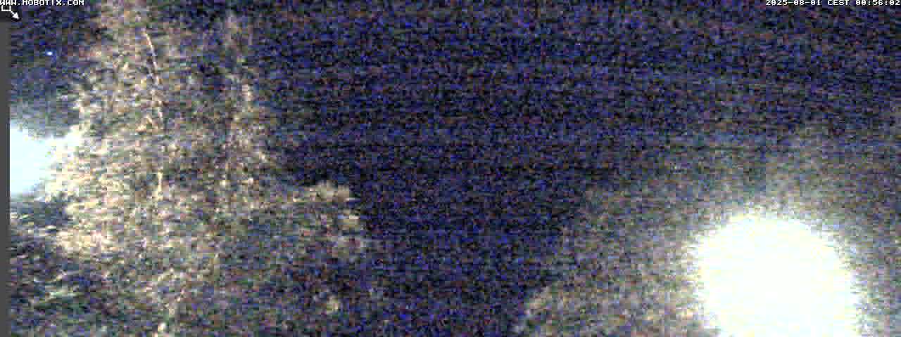 31h ago - 01:01
