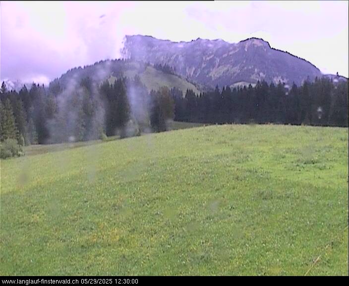 29.05.2025 12:11