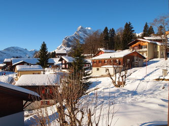 Chalet Fidelio (4½ Zimmer) - 1