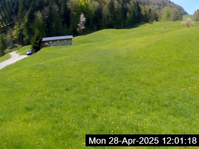 28.04.2025 12:01