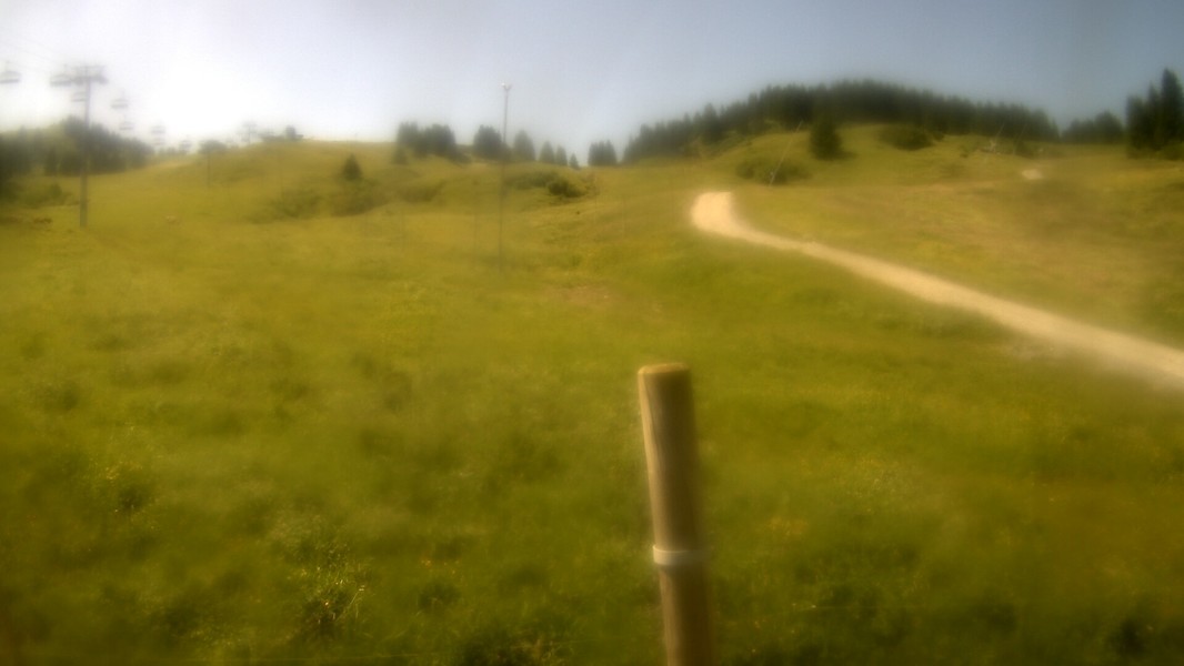 19h ago - 11:30