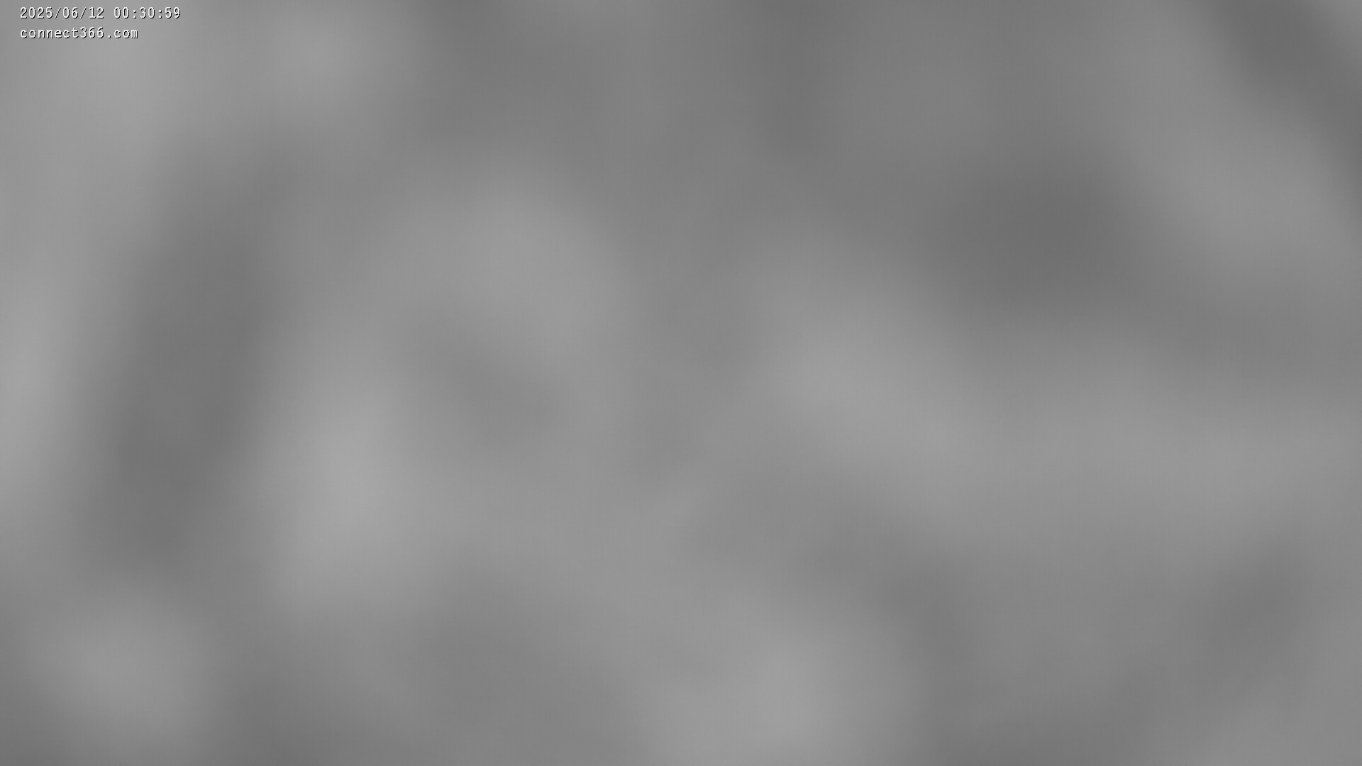 37h ago - 00:31