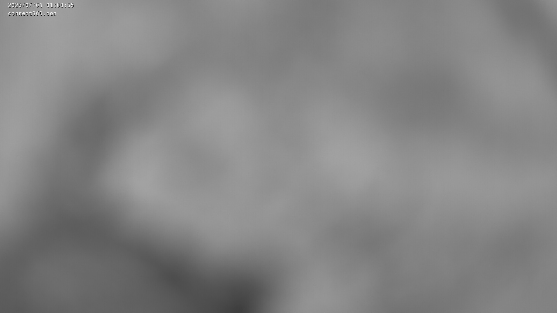 46h ago - 01:01