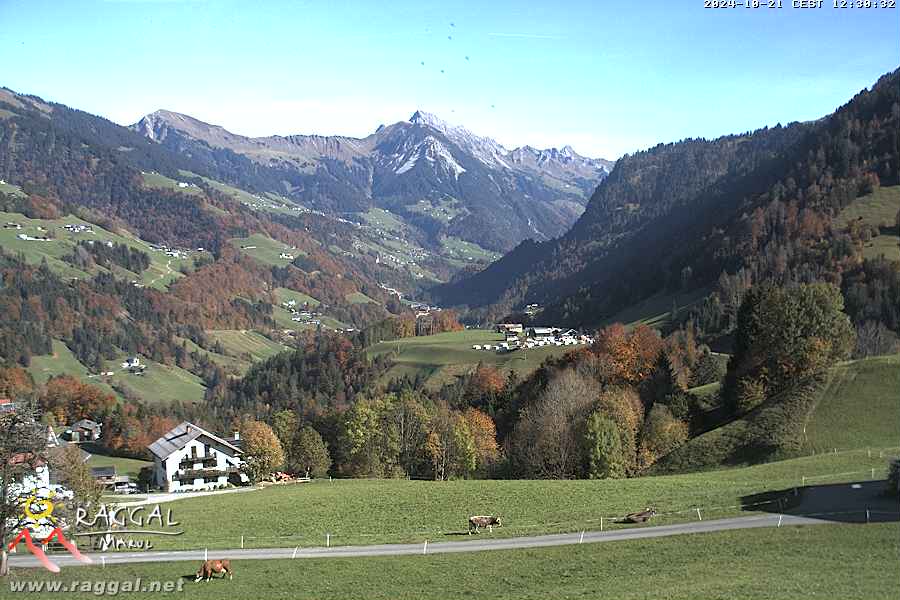 21.10.2024 12:30