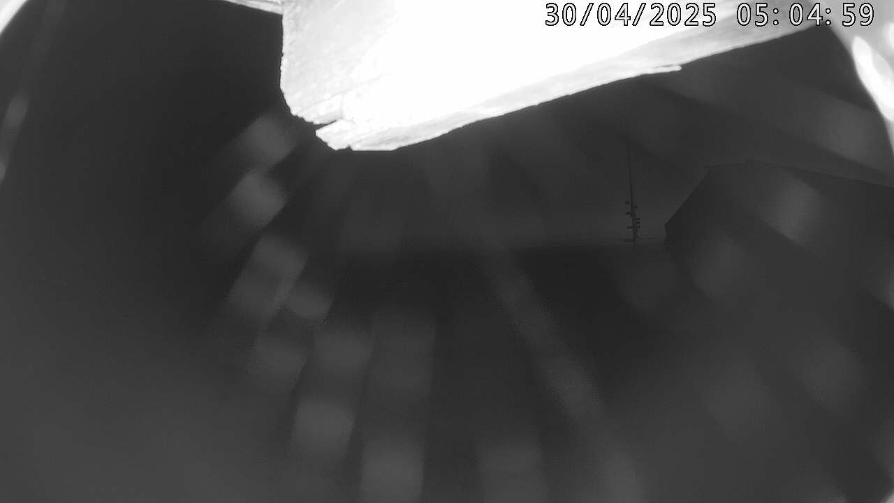 24h ago - 05:05