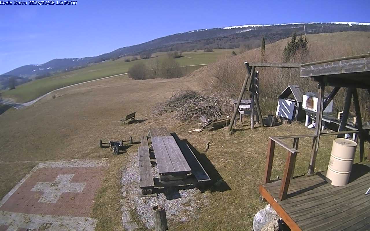 26.02.2026 12:02