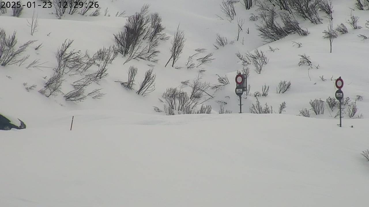 23.01.2025 12:29