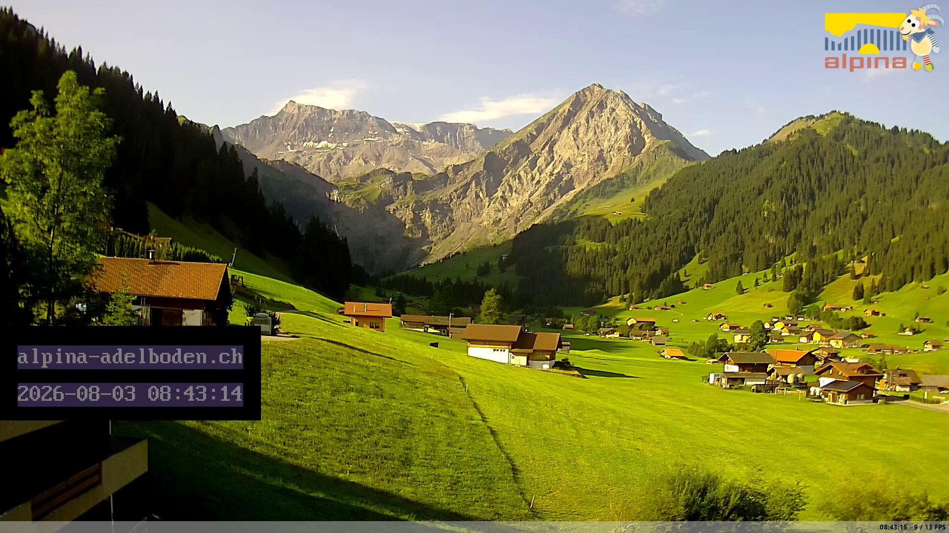 8h ago - 08:43