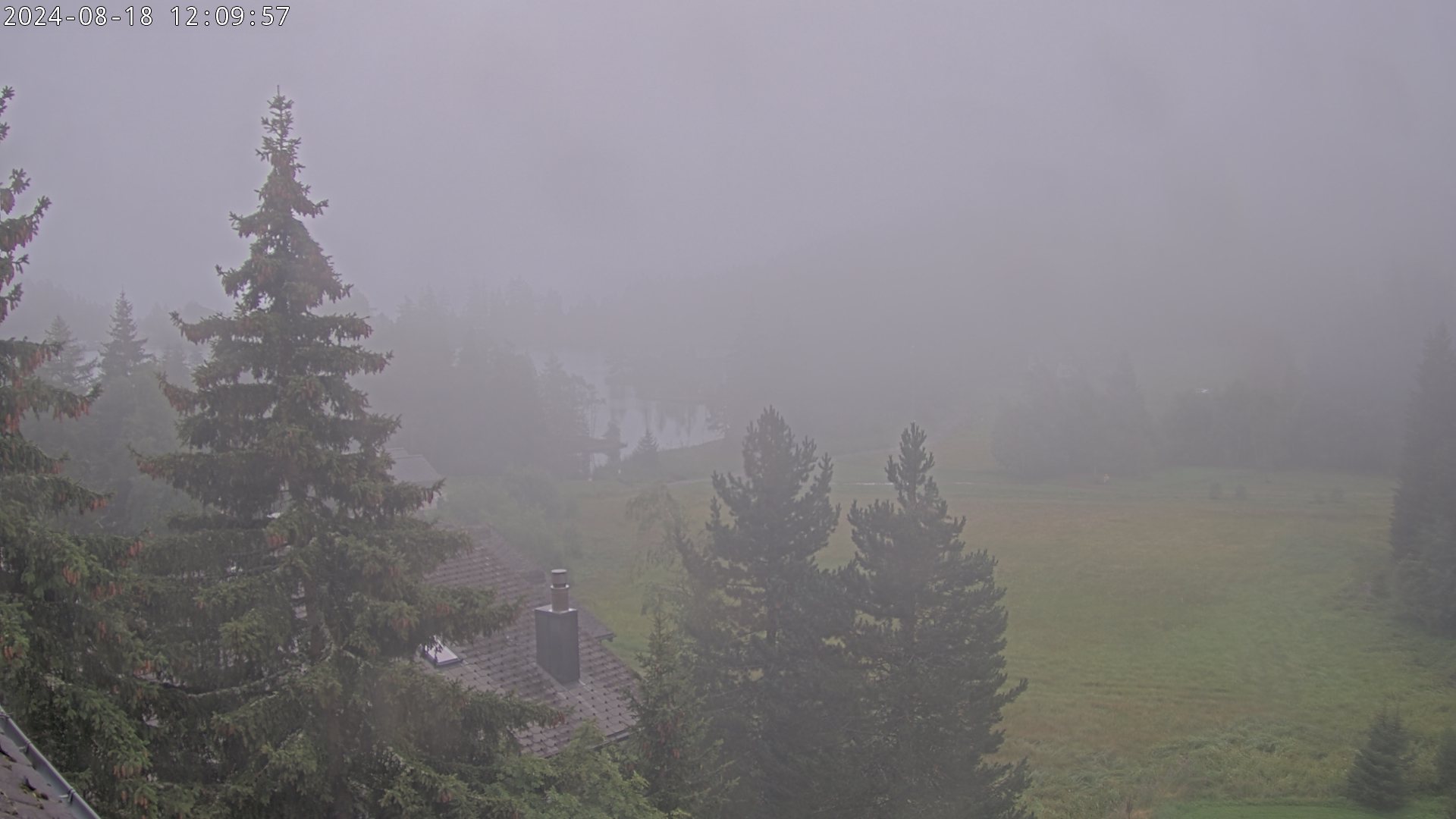 18.08.2024 12:09