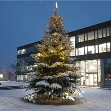 Titelbild des Events: Baumschmücken auf dem Gemeindehausplatz