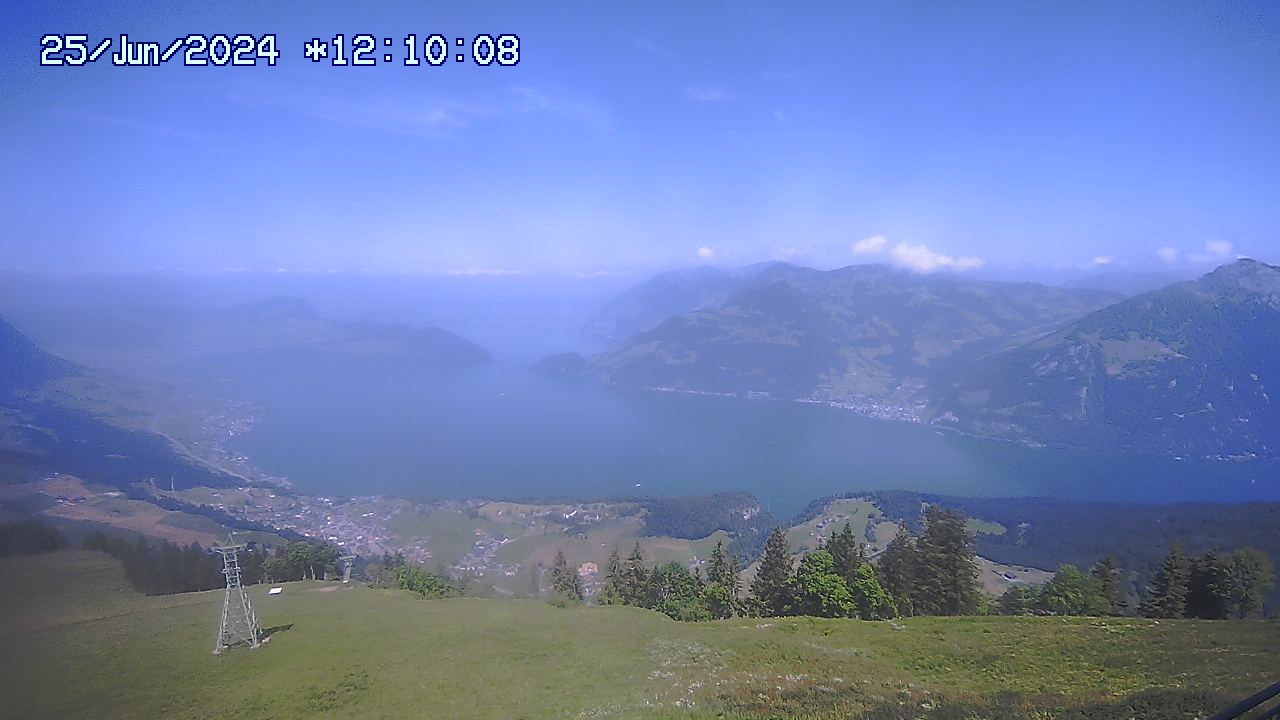 25.06.2024 12:01