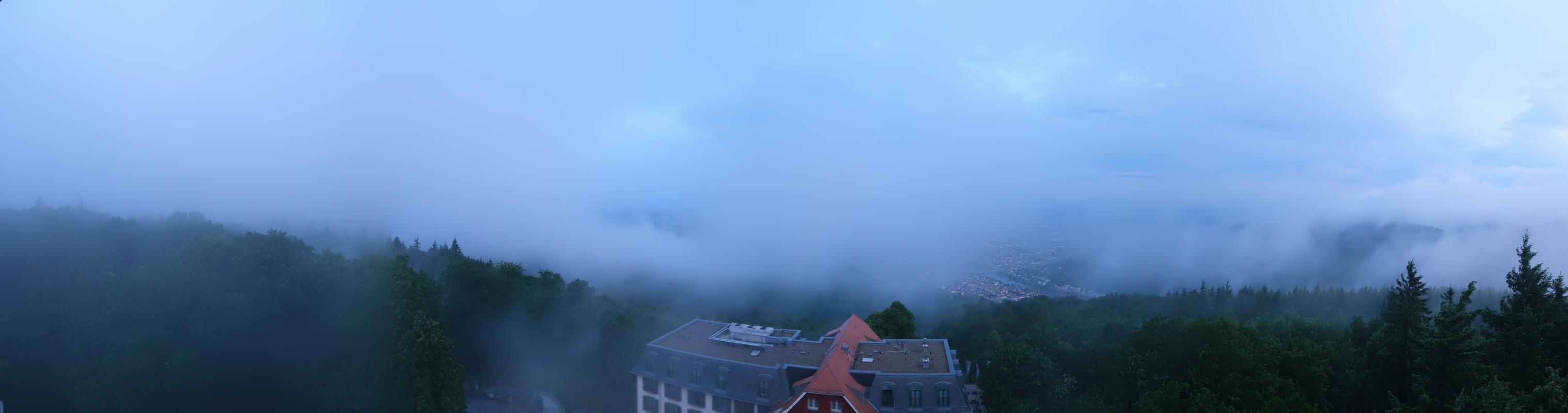 30h ago - 05:31