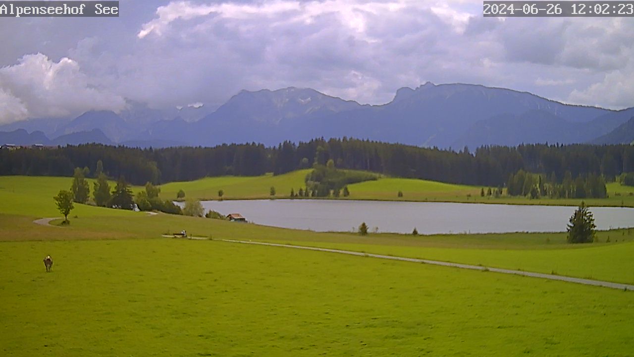 26.06.2024 12:02