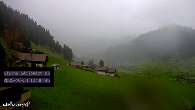 8h ago - 13:38