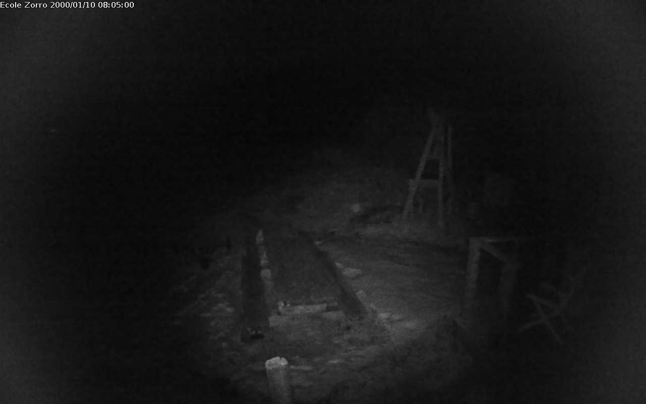 19.01.2026 00:26