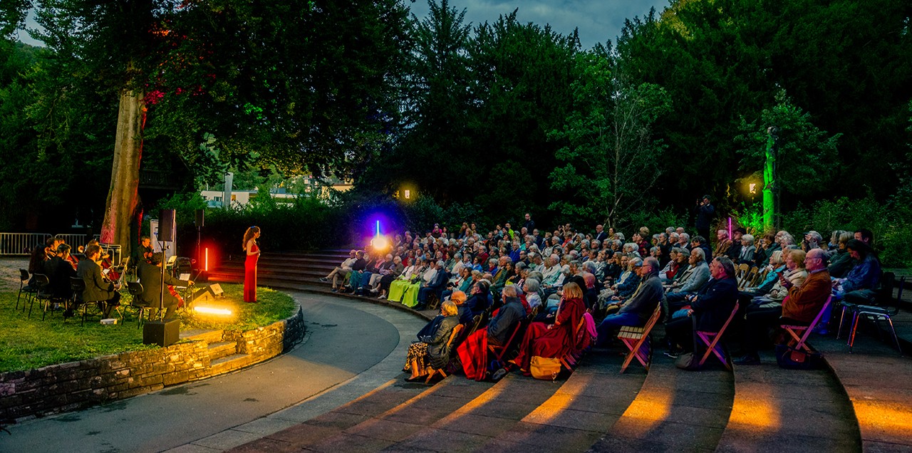 Titelbild des Events: Serenade im Park