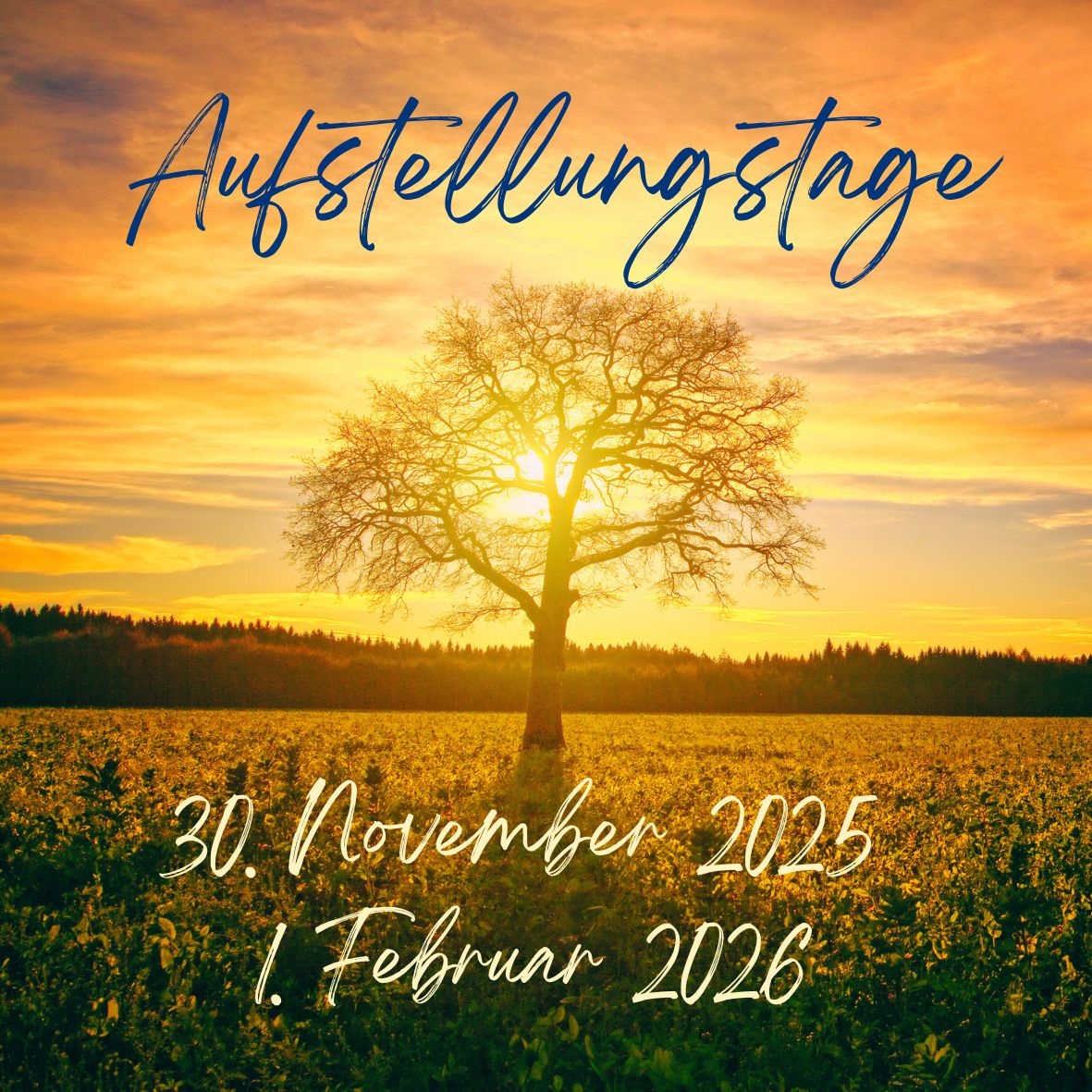 Traumasensible Systemische Aufstellungen