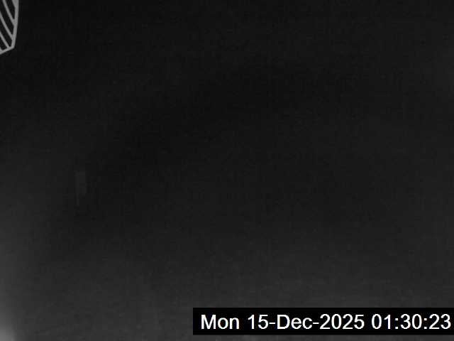 23h ago - 01:30